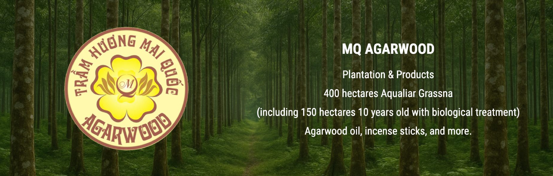 MQ Agarwood