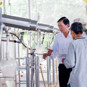 Tinh dầu trầm hương thuần khiết - Hình ảnh 4